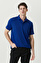 Saks Polo Yaka Kısa Kollu T-Shirt