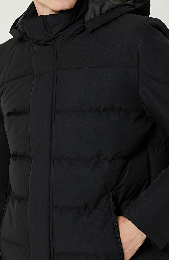 Siyah Kapitoneli Kaban