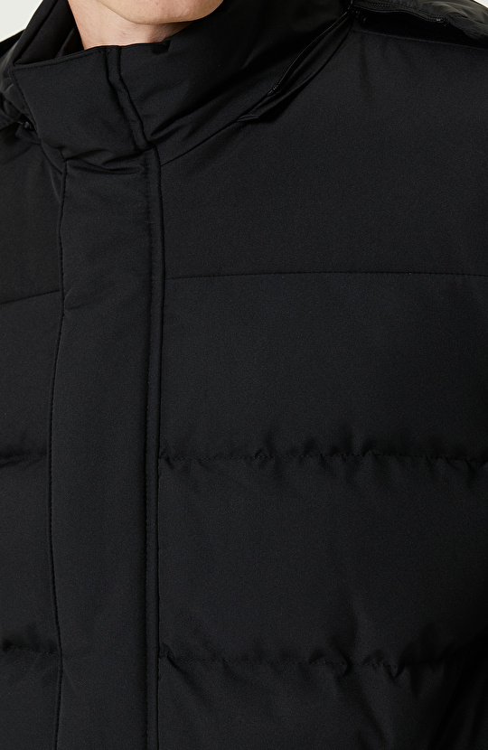 Siyah Kapitoneli Kaban