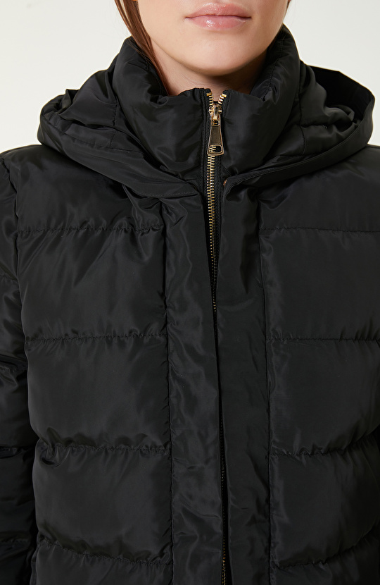 Siyah Kapitoneli Kaban