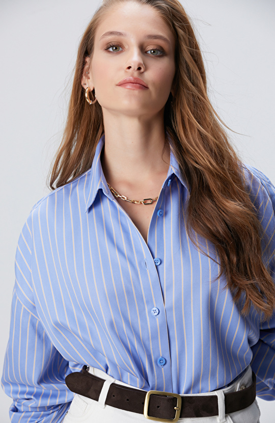 Mavi Bej Çizgili Non-Iron Gömlek