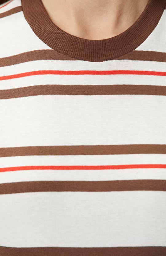 Çok Renkli Çizgili T-shirt