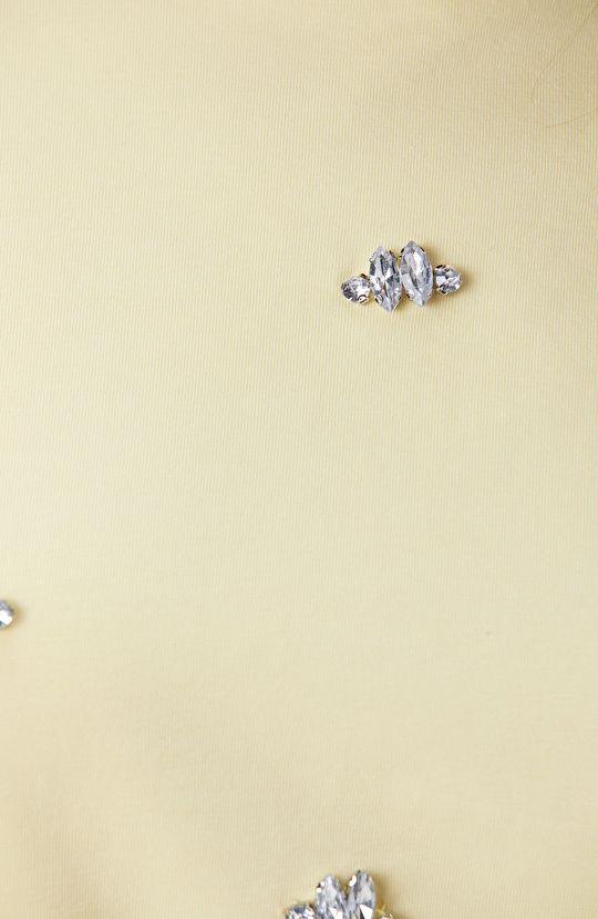 Sarı Bisiklet Yaka İri Taş Baskı Detaylı T-shirt