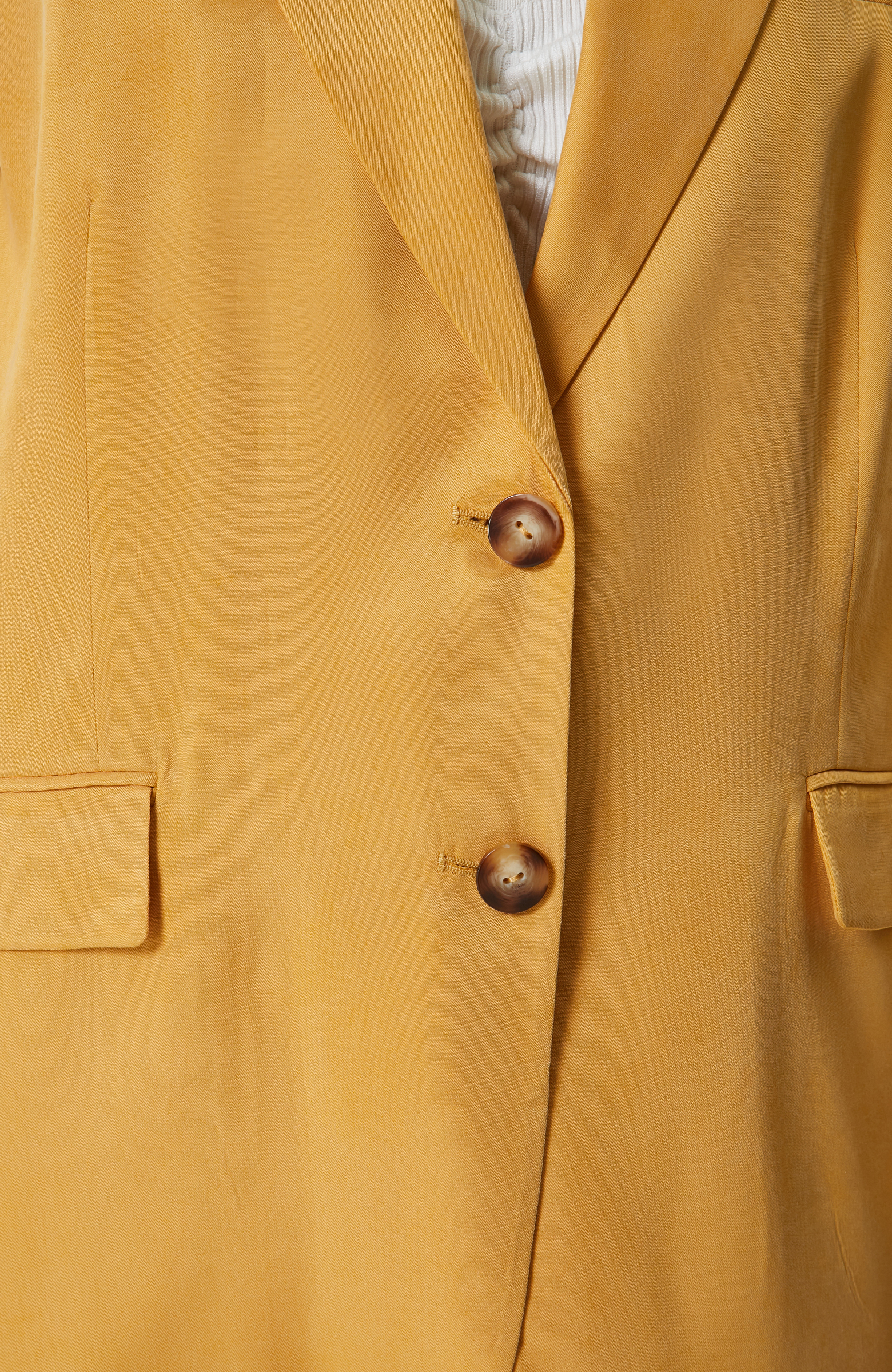 Safran Cupro Blazer Ceket