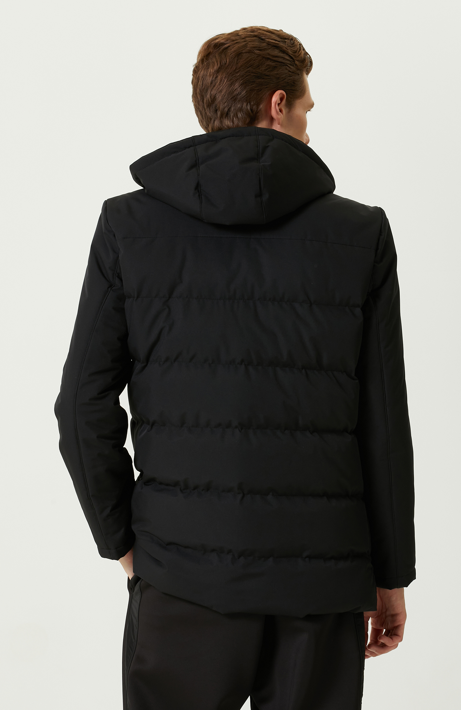 Siyah Kapitoneli Kaban