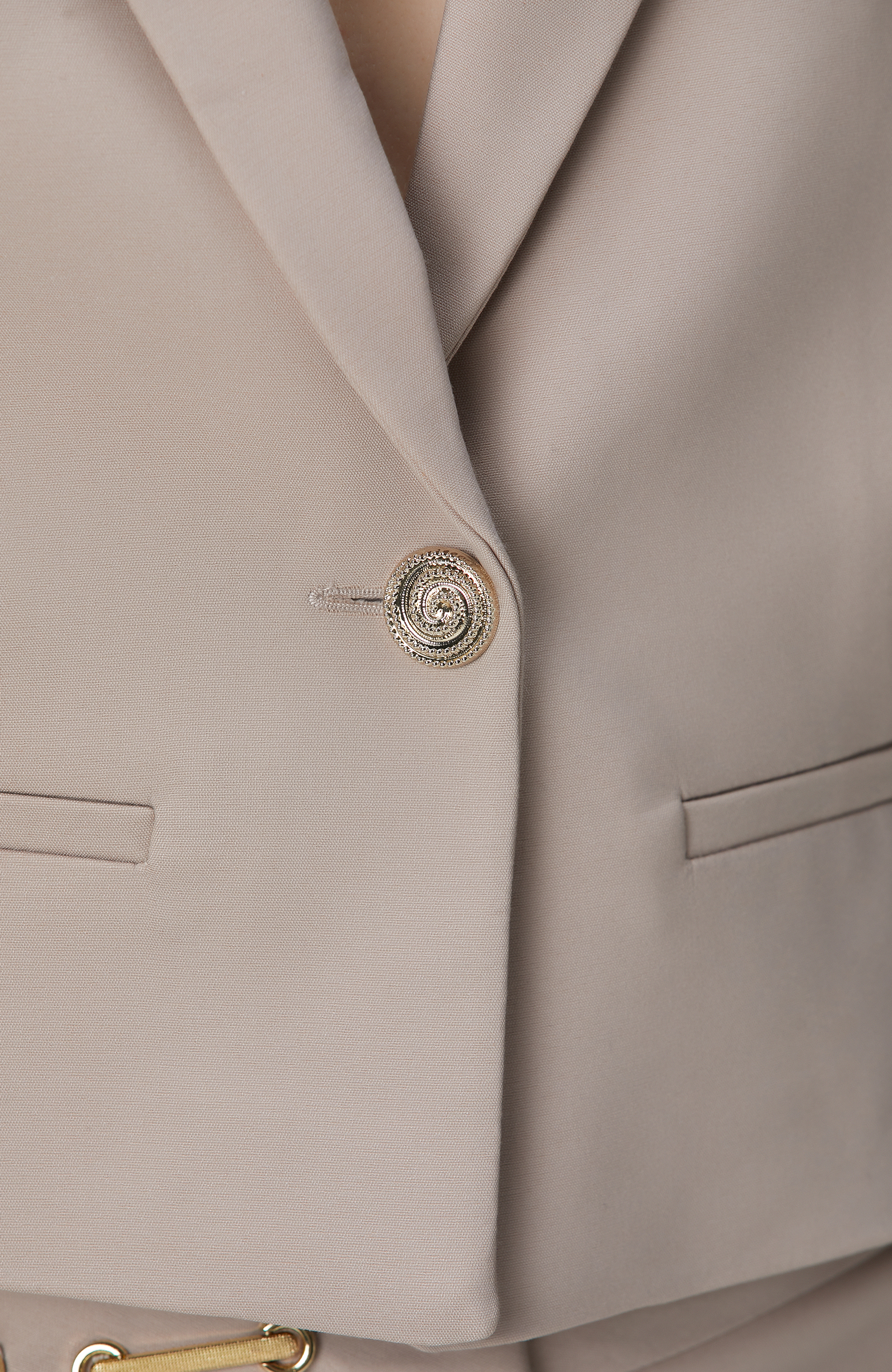 Vizon Tek Metal Düğmeli Ceket